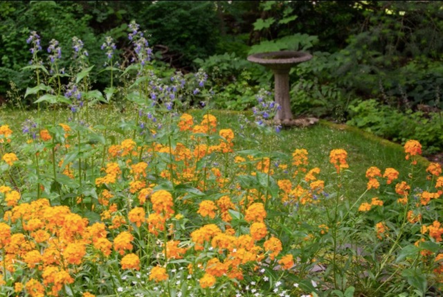 Native By Design Native by Design - Wildlife Botanical Gardens